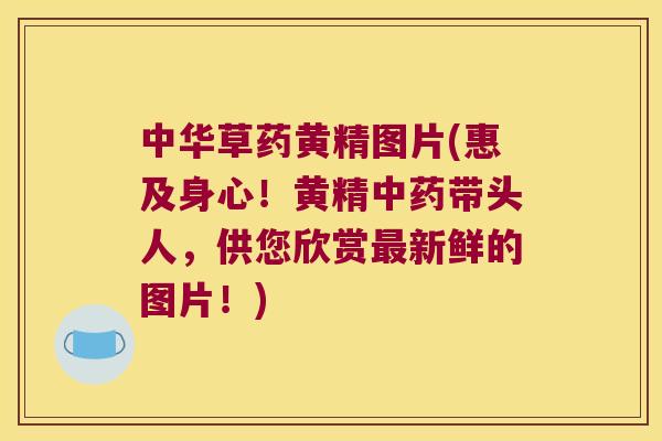 中华草药黄精图片(惠及身心！黄精带头人，供您欣赏新鲜的图片！)