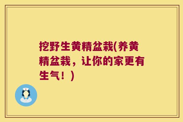 挖野生黄精盆栽(养黄精盆栽，让你的家更有生气！)