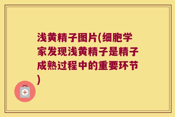 浅黄精子图片(细胞学家发现浅黄精子是精子成熟过程中的重要环节) 浅黄精子图片(细胞学家发现浅黄精子是精子成熟过程中的重要环节)