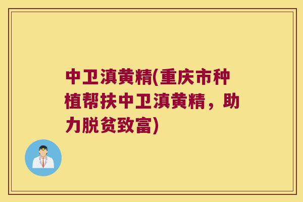 中卫滇黄精(重庆市种植帮扶中卫滇黄精，助力脱贫致富)