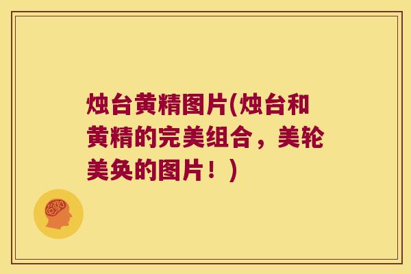 烛台黄精图片(烛台和黄精的完美组合,美轮美奂的图片!) 烛台黄精图片(烛台和黄精的完美组合,美轮美奂的图片!)