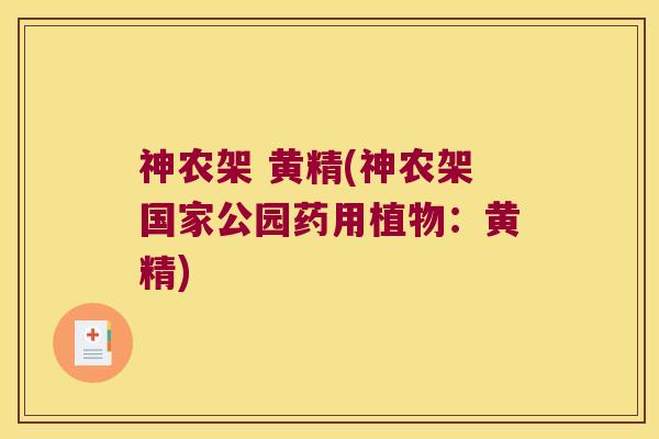 神农架 黄精(神农架国家公园药用植物：黄精)