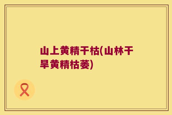 山上黄精干枯(山林干旱黄精枯萎) 山上黄精干枯(山林干旱黄精枯萎)