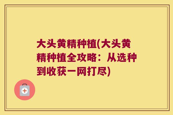 大头黄精种植(大头黄精种植全攻略：从选种到收获一网打尽)