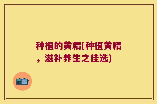 种植的黄精(种植黄精,滋补养生之佳选) 种植的黄精(种植黄精,滋补养生之佳选)