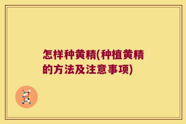 怎样种黄精(种植黄精的方法及注意事项) 怎样种黄精(种植黄精的方法及注意事项)