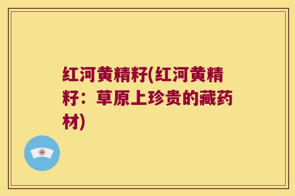 红河黄精籽(红河黄精籽:草原上珍贵的藏药材) 红河黄精籽(红河黄精籽:草原上珍贵的藏药材)