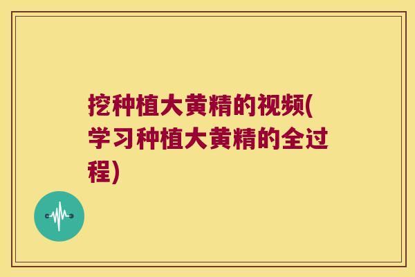 挖种植大黄精的视频(学习种植大黄精的全过程)