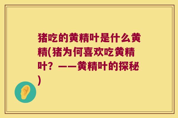 猪吃的黄精叶是什么黄精(猪为何喜欢吃黄精叶？——黄精叶的探秘)