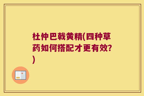 杜仲巴戟黄精(四种草药如何搭配才更有效?) 杜仲巴戟黄精(四种草药如何搭配才更有效?)