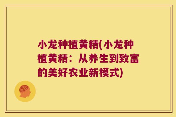 小龙种植黄精(小龙种植黄精：从养生到致富的美好农业新模式)