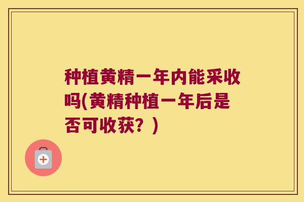 种植黄精一年内能采收吗(黄精种植一年后是否可收获？)