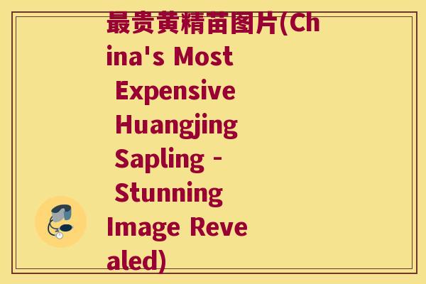 贵黄精苗图片(China's Most Expensive Huangjing Sapling - Stunning Image Revealed)