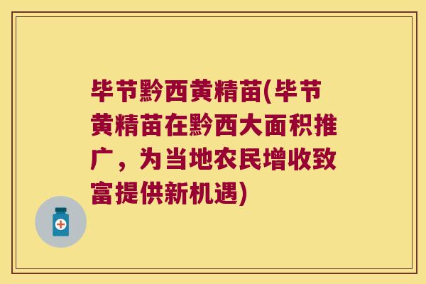 毕节黔西黄精苗(毕节黄精苗在黔西大面积推广,为当地农民增收致富提供新机遇) 毕节黔西黄精苗(毕节黄精苗在黔西大面积推广,为当地农民增收致富提供新机遇)
