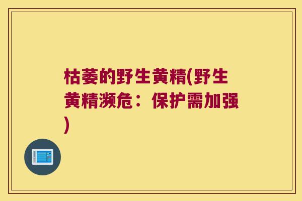 枯萎的野生黄精(野生黄精濒危:保护需加强) 枯萎的野生黄精(野生黄精濒危:保护需加强)