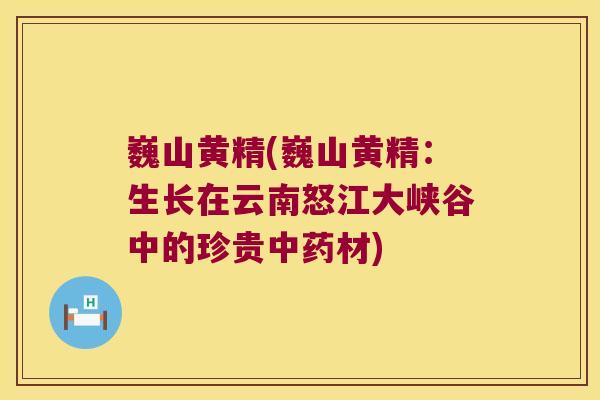 巍山黄精(巍山黄精:生长在云南怒江大峡谷中的珍贵材) 巍山黄精(巍山黄精:生长在云南怒江大峡谷中的珍贵材)