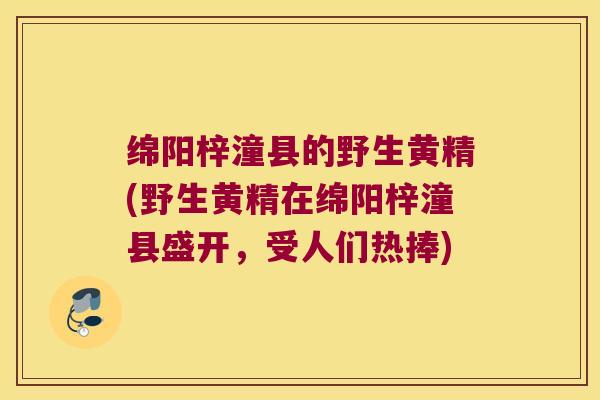 绵阳梓潼县的野生黄精(野生黄精在绵阳梓潼县盛开,受人们热捧) 绵阳梓潼县的野生黄精(野生黄精在绵阳梓潼县盛开,受人们热捧)