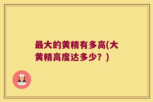 大的黄精有多高(大黄精高度达多少?) 大的黄精有多高(大黄精高度达多少?)