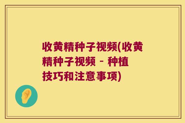 收黄精种子视频(收黄精种子视频 - 种植技巧和注意事项)