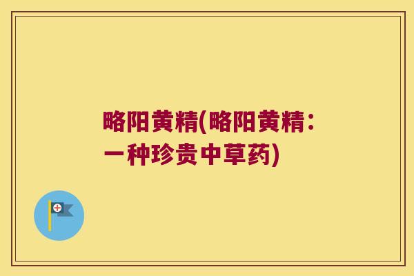 略阳黄精(略阳黄精：一种珍贵中草药)