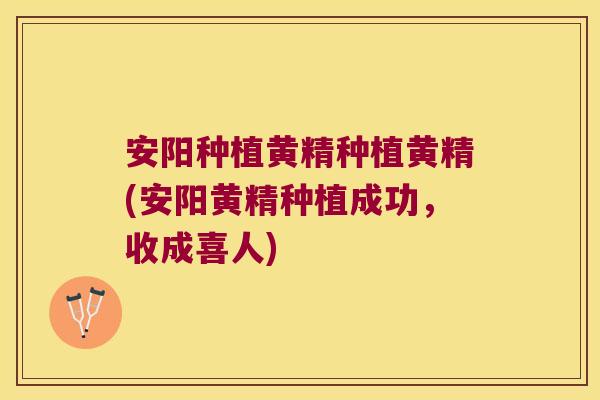 安阳种植黄精种植黄精(安阳黄精种植成功,收成喜人) 安阳种植黄精种植黄精(安阳黄精种植成功,收成喜人)