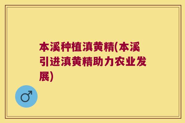 本溪种植滇黄精(本溪引进滇黄精助力农业发展) 本溪种植滇黄精(本溪引进滇黄精助力农业发展)