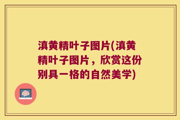 滇黄精叶子图片(滇黄精叶子图片,欣赏这份别具一格的自然美学) 滇黄精叶子图片(滇黄精叶子图片,欣赏这份别具一格的自然美学)