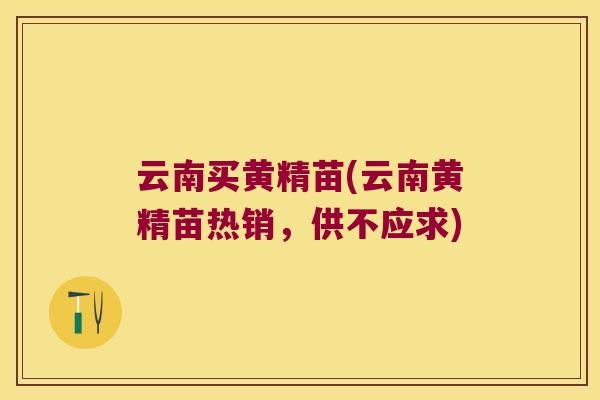 云南买黄精苗(云南黄精苗热销，供不应求)