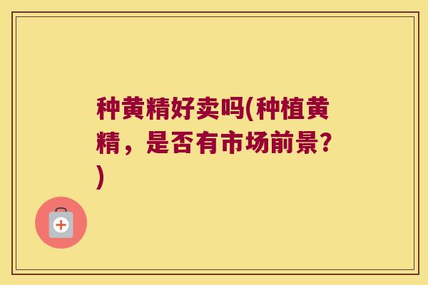 种黄精好卖吗(种植黄精,是否有市场前景?) 种黄精好卖吗(种植黄精,是否有市场前景?)