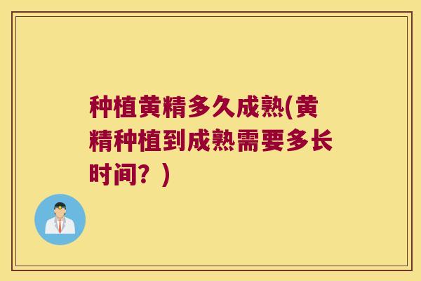 种植黄精多久成熟(黄精种植到成熟需要多长时间？)