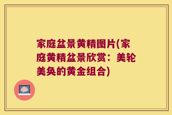 家庭盆景黄精图片(家庭黄精盆景欣赏：美轮美奂的黄金组合)