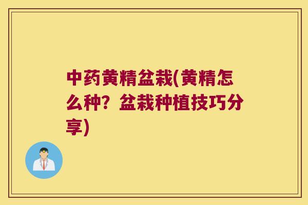 黄精盆栽(黄精怎么种?盆栽种植技巧分享) 黄精盆栽(黄精怎么种?盆栽种植技巧分享)