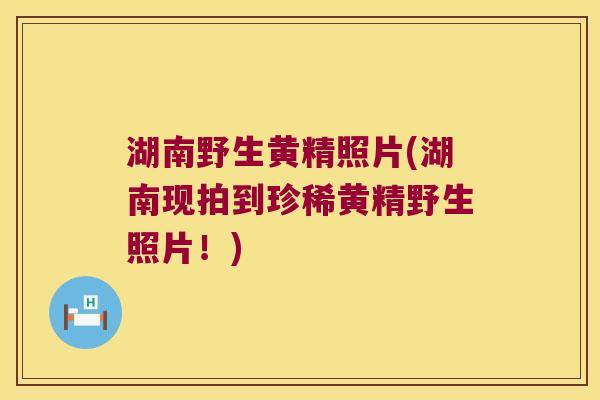 湖南野生黄精照片(湖南现拍到珍稀黄精野生照片！)