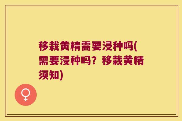 移栽黄精需要浸种吗(需要浸种吗?移栽黄精须知) 移栽黄精需要浸种吗(需要浸种吗?移栽黄精须知)