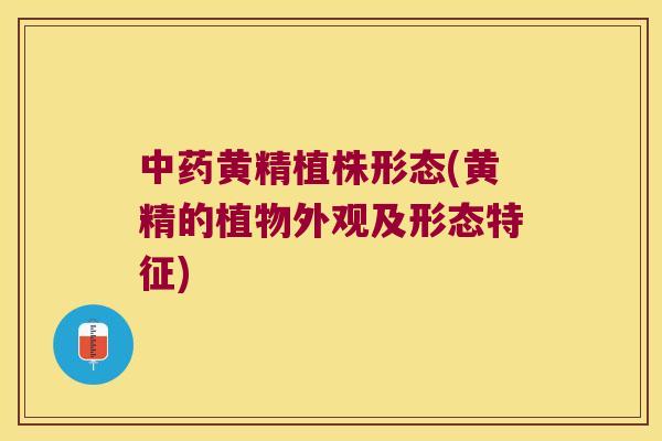 黄精植株形态(黄精的植物外观及形态特征) 黄精植株形态(黄精的植物外观及形态特征)
