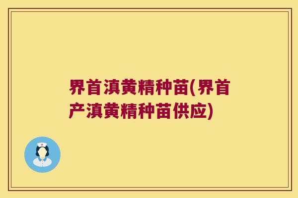 界首滇黄精种苗(界首产滇黄精种苗供应) 界首滇黄精种苗(界首产滇黄精种苗供应)