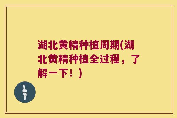 湖北黄精种植周期(湖北黄精种植全过程,了解一下!) 湖北黄精种植周期(湖北黄精种植全过程,了解一下!)
