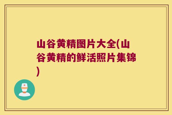 山谷黄精图片大全(山谷黄精的鲜活照片集锦) 山谷黄精图片大全(山谷黄精的鲜活照片集锦)