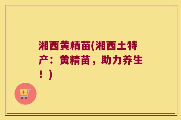 湘西黄精苗(湘西土特产:黄精苗,助力养生!) 湘西黄精苗(湘西土特产:黄精苗,助力养生!)