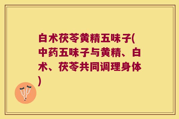 白术茯苓黄精五味子(五味子与黄精、白术、茯苓共同调理身体)