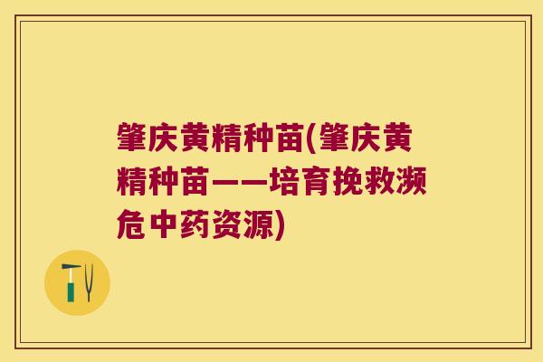 肇庆黄精种苗(肇庆黄精种苗——培育挽救濒危资源)