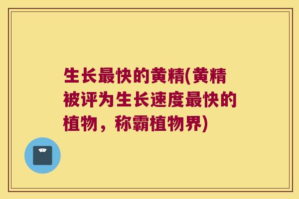 生长快的黄精(黄精被评为生长速度快的植物，称霸植物界)