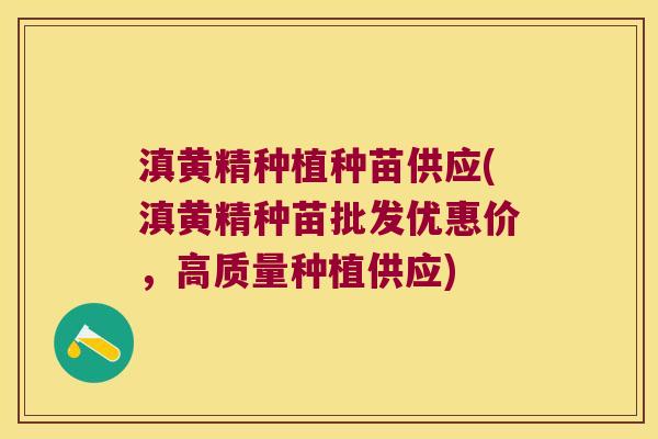 滇黄精种植种苗供应(滇黄精种苗批发优惠价,高质量种植供应) 滇黄精种植种苗供应(滇黄精种苗批发优惠价,高质量种植供应)