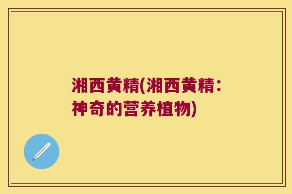 湘西黄精(湘西黄精:神奇的营养植物) 湘西黄精(湘西黄精:神奇的营养植物)