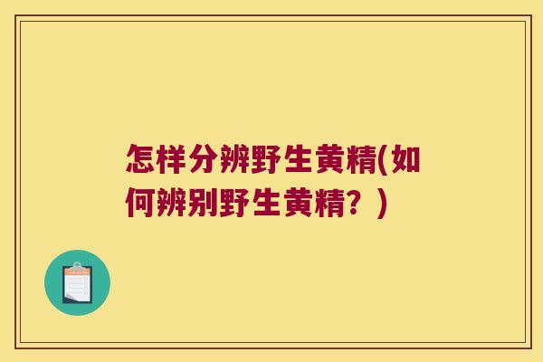怎样分辨野生黄精(如何辨别野生黄精?) 怎样分辨野生黄精(如何辨别野生黄精?)