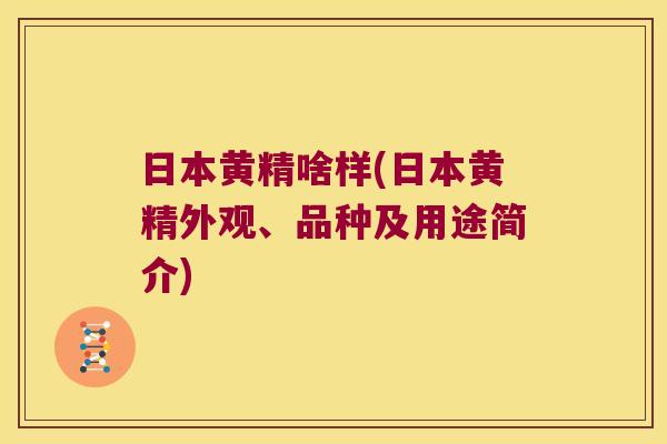 日本黄精啥样(日本黄精外观、品种及用途简介)