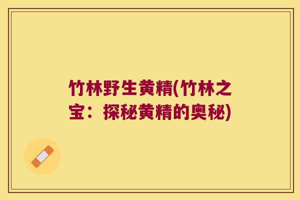 竹林野生黄精(竹林之宝：探秘黄精的奥秘)