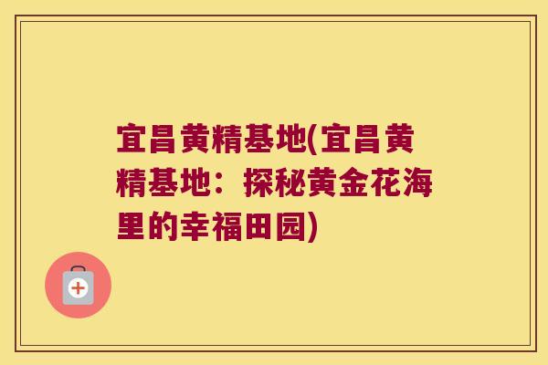 宜昌黄精基地(宜昌黄精基地:探秘黄金花海里的幸福田园) 宜昌黄精基地(宜昌黄精基地:探秘黄金花海里的幸福田园)