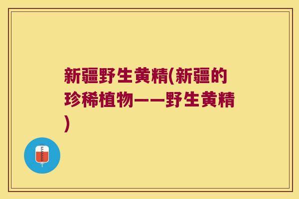 新疆野生黄精(新疆的珍稀植物——野生黄精) 新疆野生黄精(新疆的珍稀植物——野生黄精)