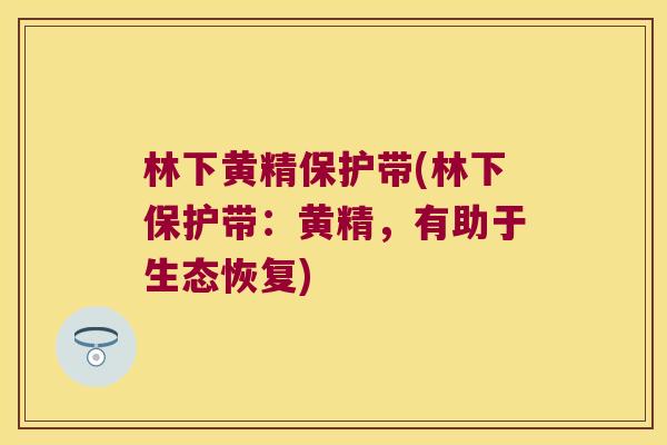 林下黄精保护带(林下保护带：黄精，有助于生态恢复)